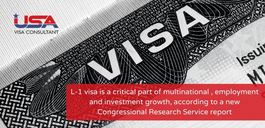 USA Visa Consultant: L-1 Visa