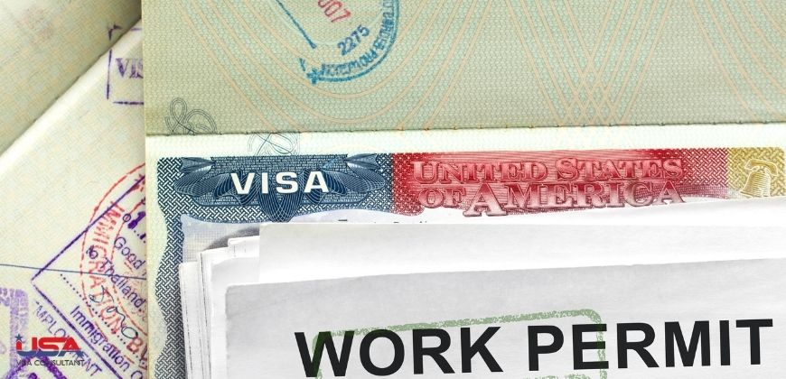 USA Visa Consultant