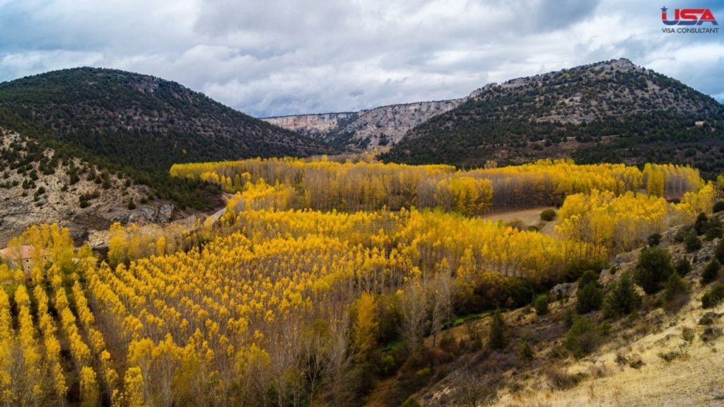 USA Visa Consultant - Aspen